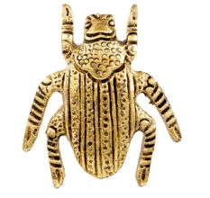 Golden Cockroach Metal Cabinet Knobs